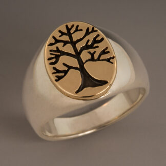 Sterling & 14K Men's Ring